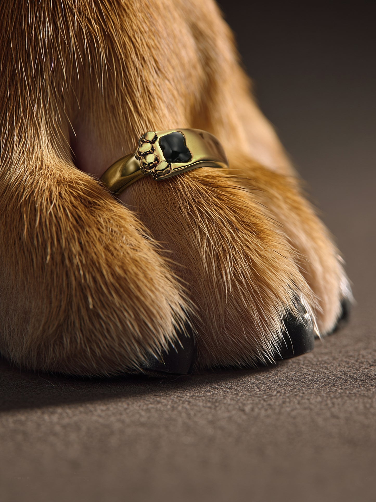 Gryffon Cushion Ring